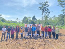 Dukung Program Asta Cita Presiden, Desa Dusun Tuo Tanam Jagung Pipil di Lahan 1 Hektare