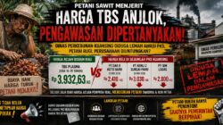 PKS Beli TBS Murah, Petani Rugi Besar: Ada Apa dengan Pengawasan Dinas Perkebunan Kuansing?