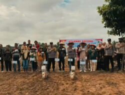Polsek Cerenti Pimpin Penanaman Jagung Pipil di Desa Sikakak, Dukung Ketahanan Pangan dan Asta Cita Presiden