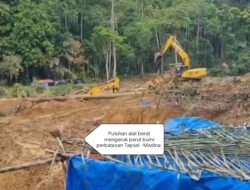 IMA MADINA PKU DESAK POLDA SUMUT TANGKAP DAN HENTIKAN PARA MAFIA PETI DI PERBATASAN TAPSEL -MADINA TERMASUK DUGAAN KETERLIBATAN ORMAS