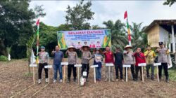 Perkuat Ketahanan Pangan Nasional, Polsek Cerenti Hadiri Penanaman Jagung Pipil BUMDes Maju Bersama Desa Pesikaian